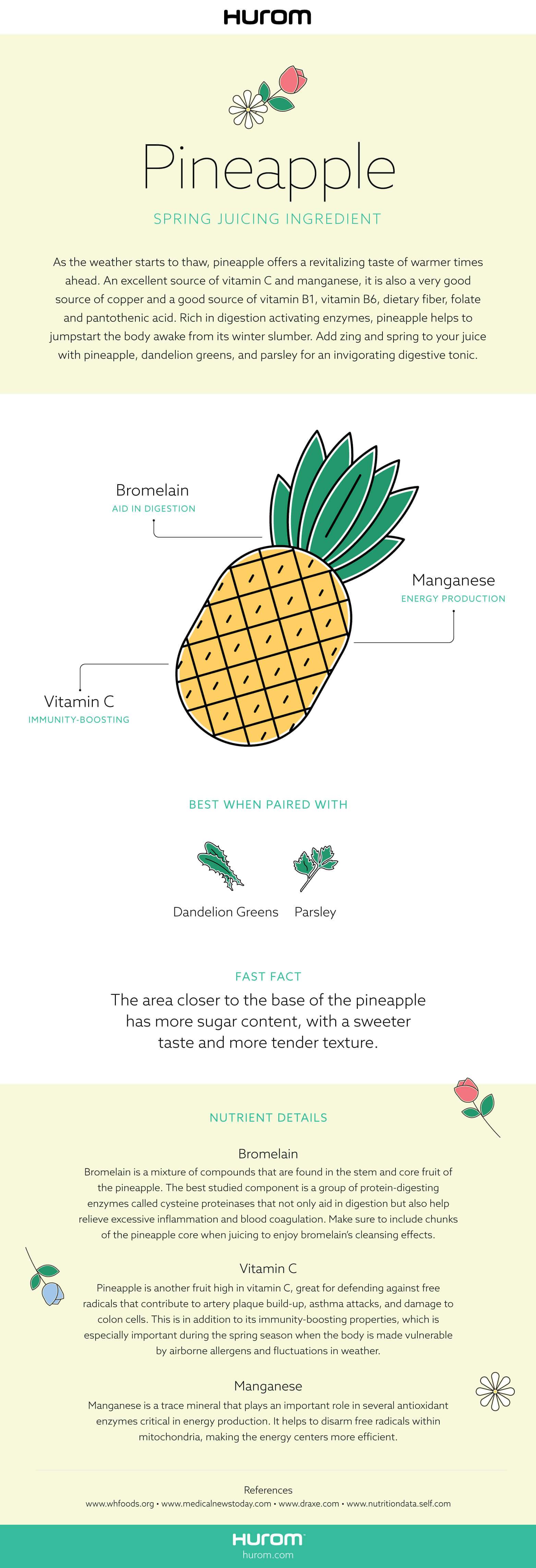 Pineapple Spring Juicing Ingredient