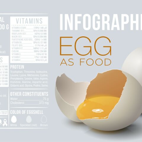 20 Infographics About Eggs