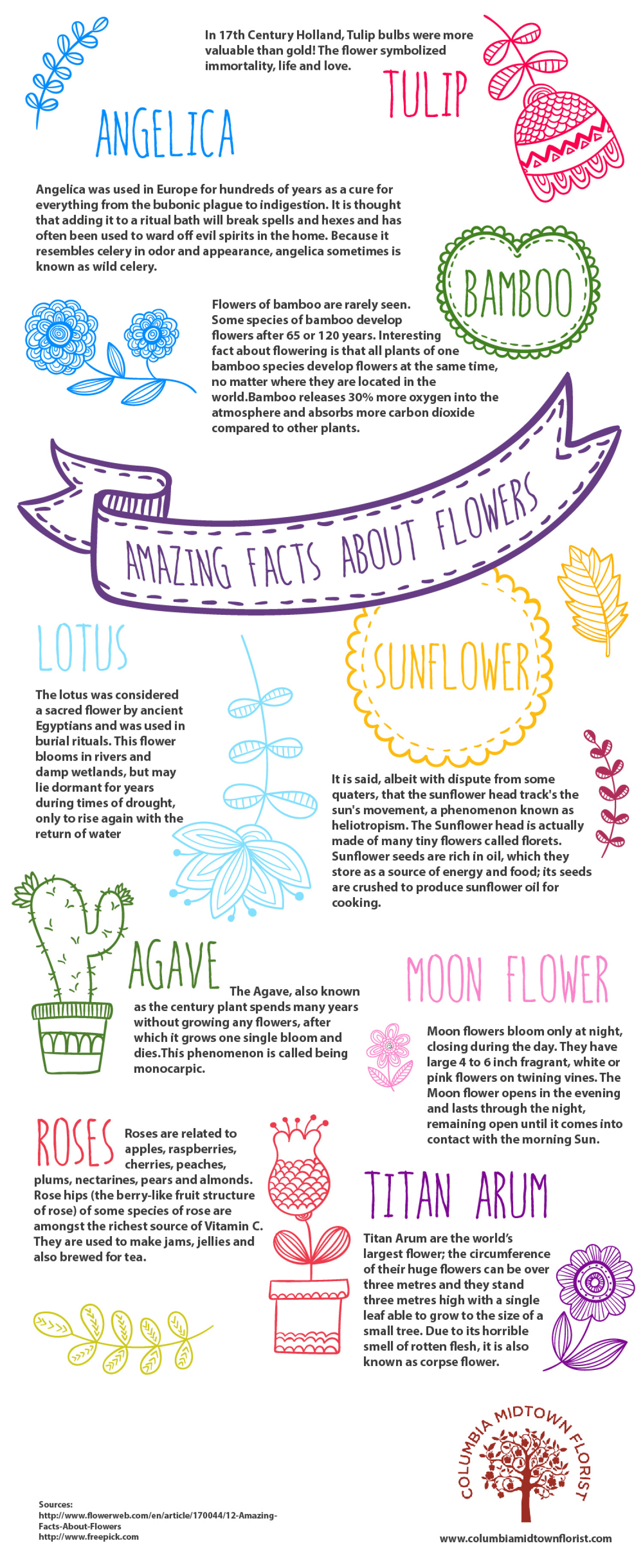 Amazing Facts About Flowers