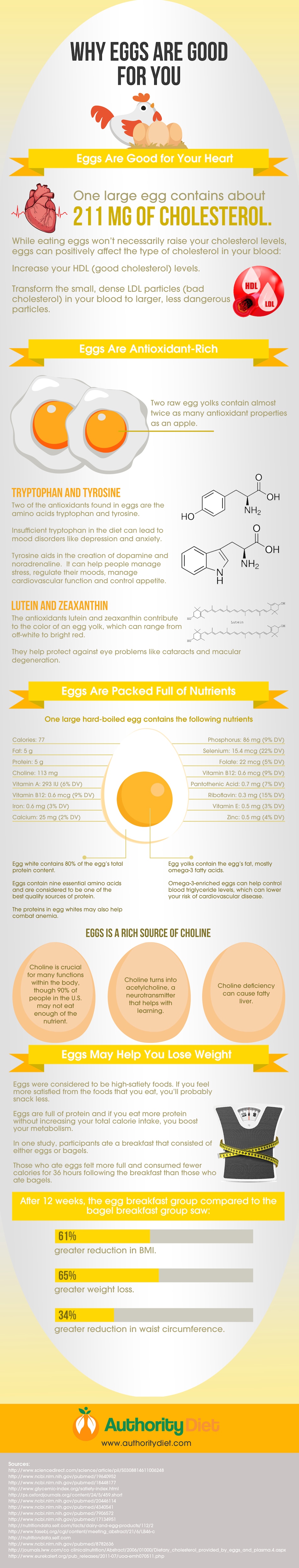 Are Eggs Good or Bad for You