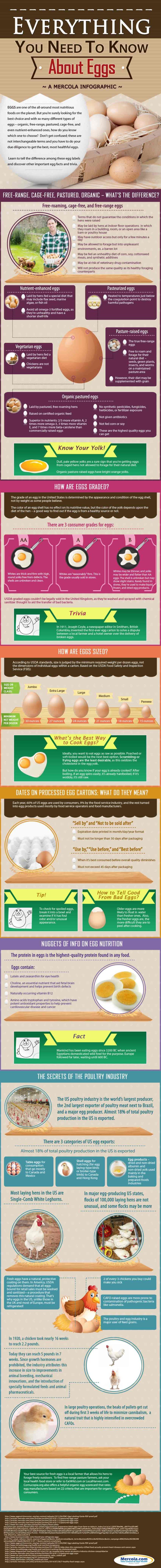 Egg Nutrition Facts and Information