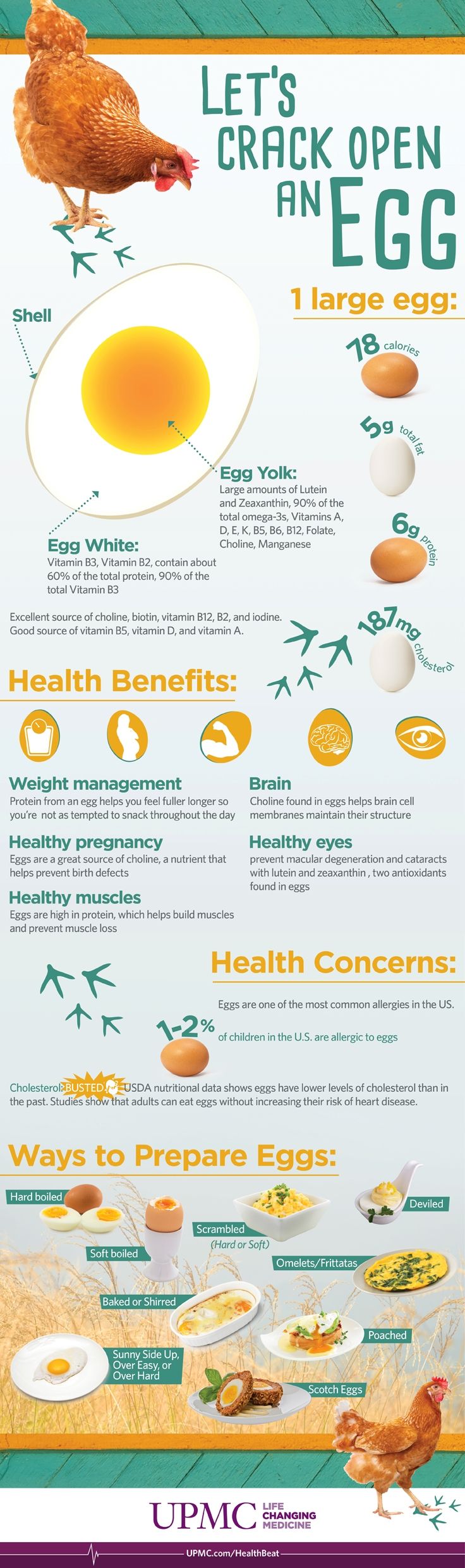 The Health Benefits of Eggs