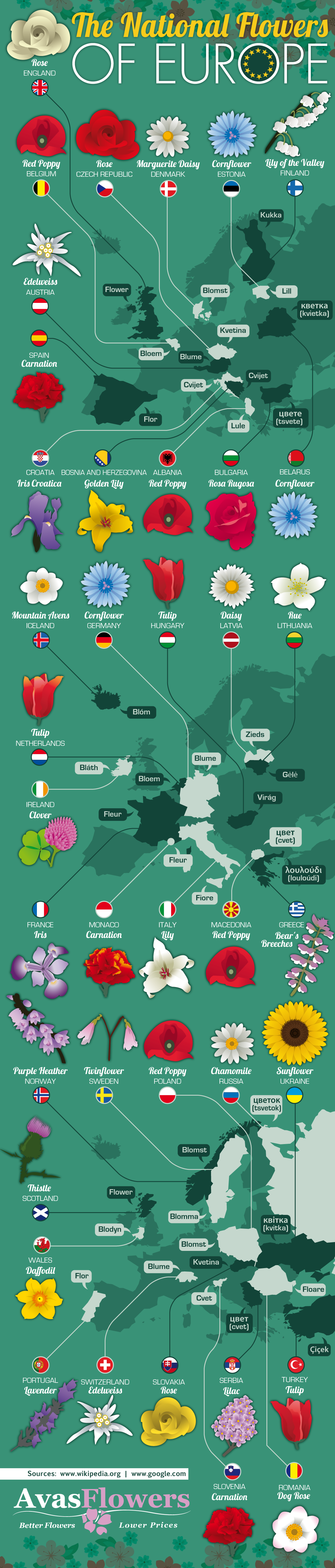 The National Flowers of Of Europe