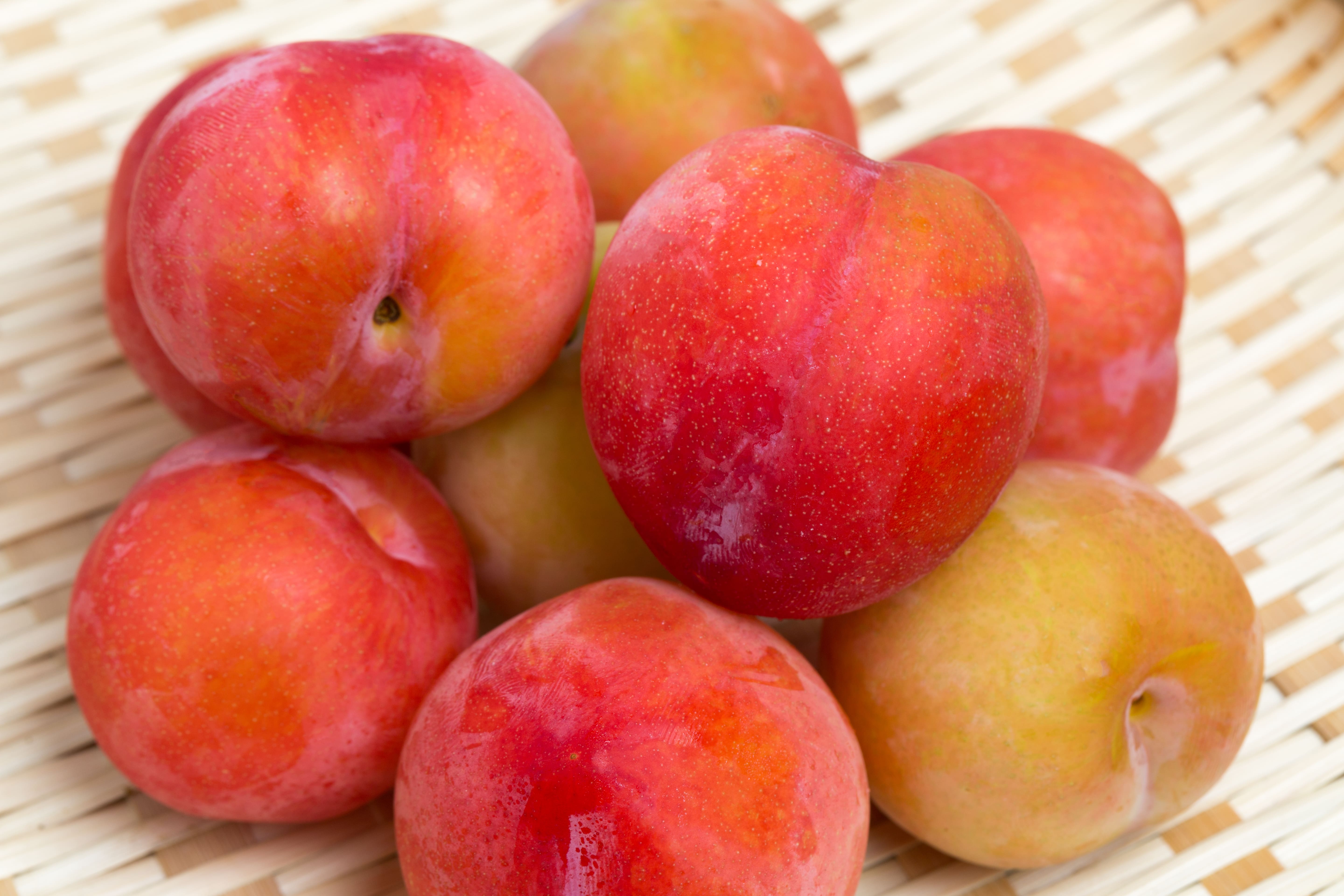 Japanese plum