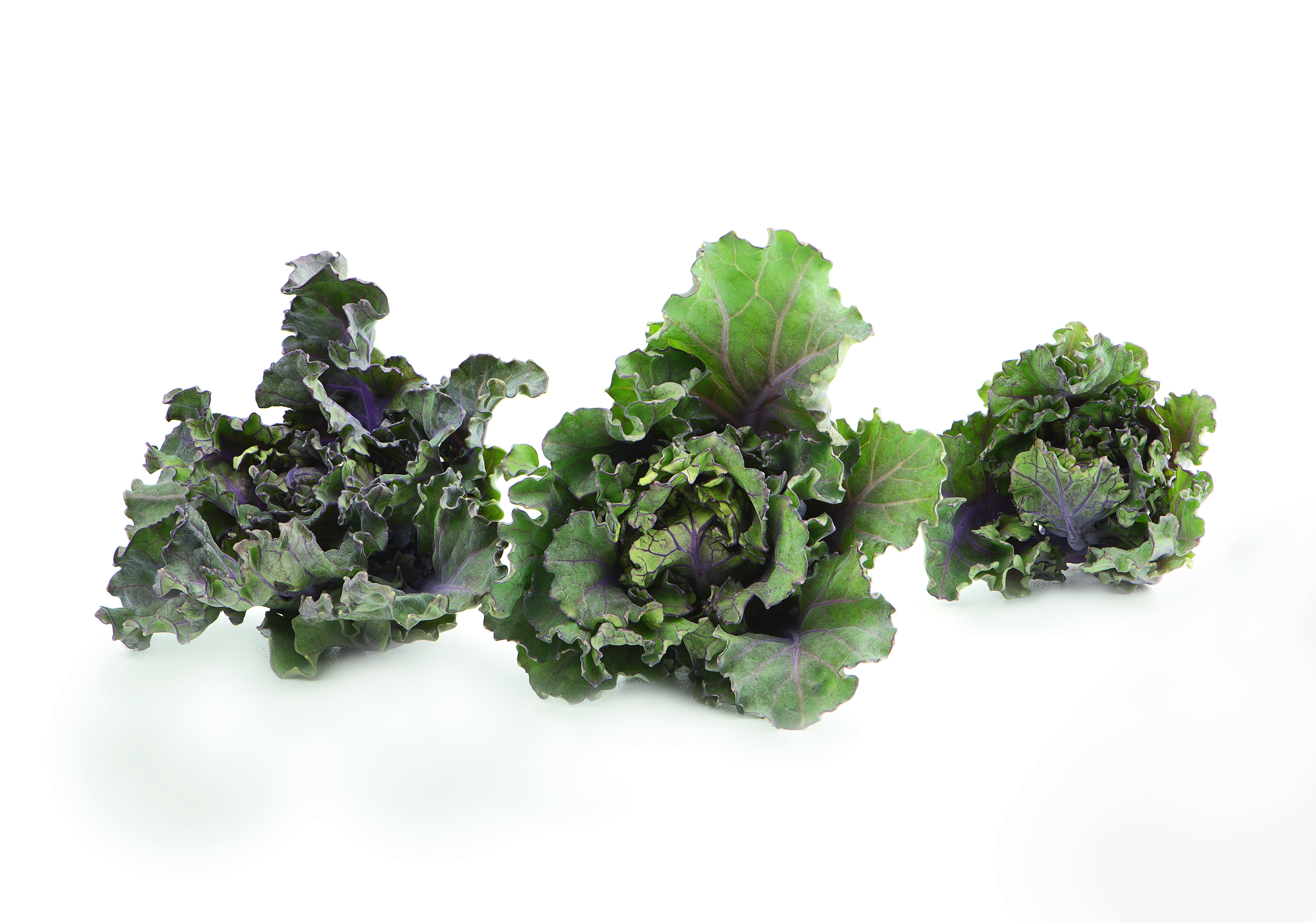 Kalettes