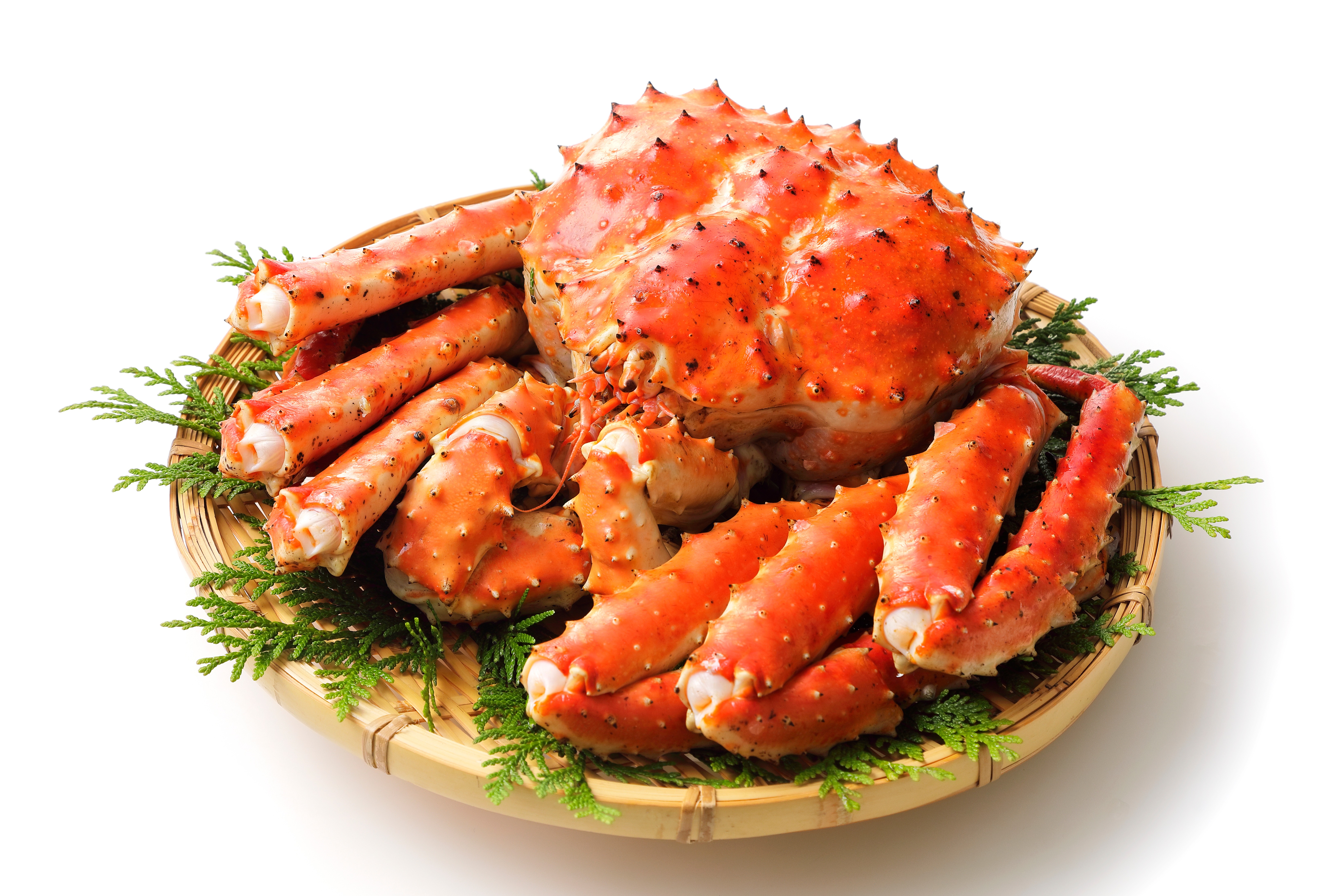 King Crab