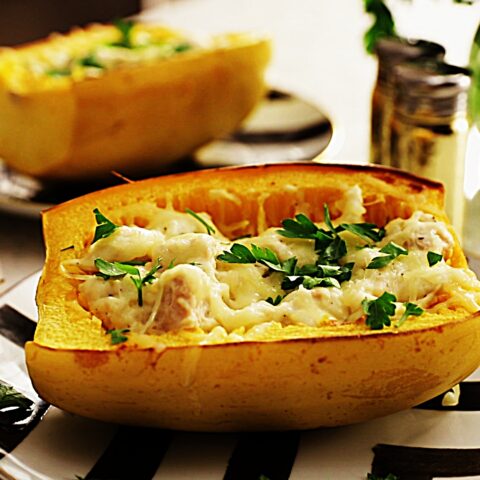 Meal photo - Chicken Alfredo Stuffed Spaghetti Squash