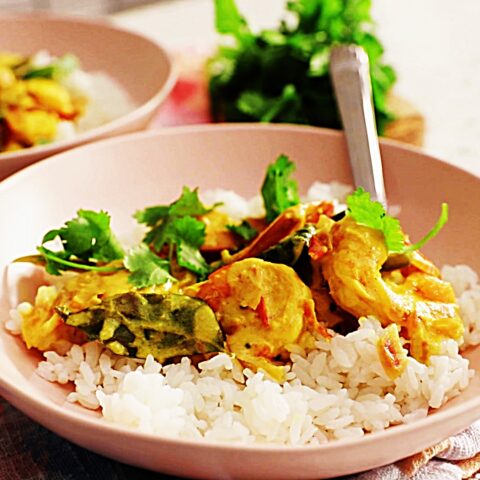 Meal photo - Coconut Shrimp Curry