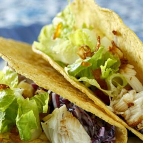 Gourmet Fish Taco Recipe