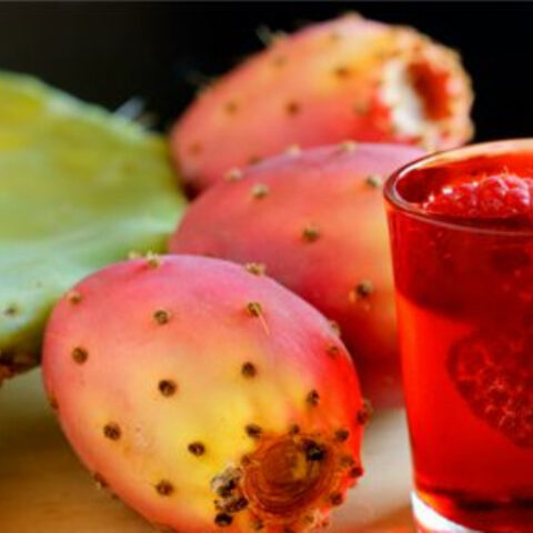 Prickly Pear Juice Recipe (Cactus Fruit)