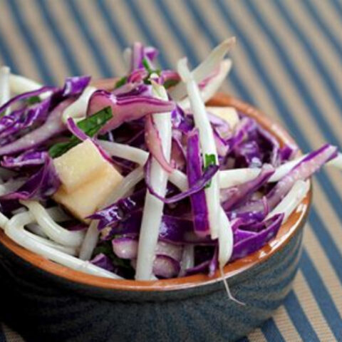 Red Cabbage and Bean Sprout Salad Recipe