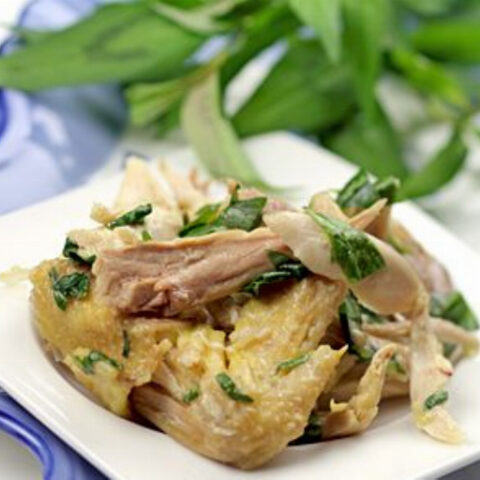 Ga Muoi Ot: Vietnamese Chicken Salad Recipe