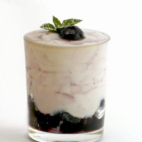 Blueberry Yogurt