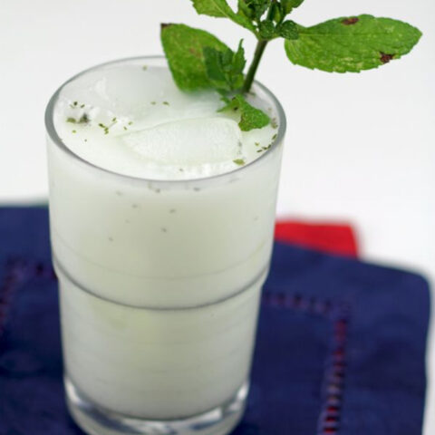 Doogh Recipe (Persian Yogurt Drink)