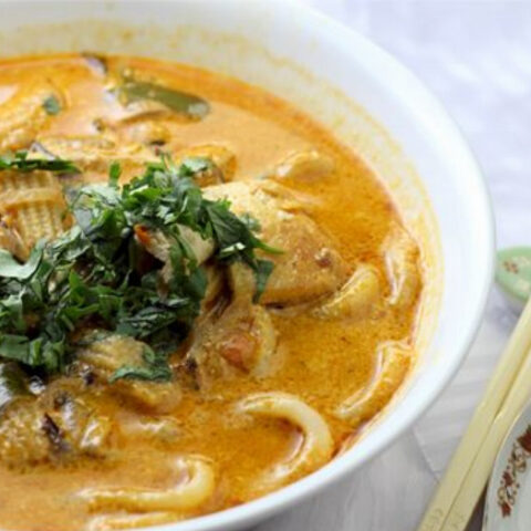 Spicy Udon Noodle Soup Recipe