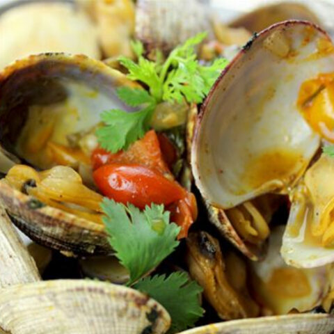 Spicy Clams in Saffron Tomato Sauce