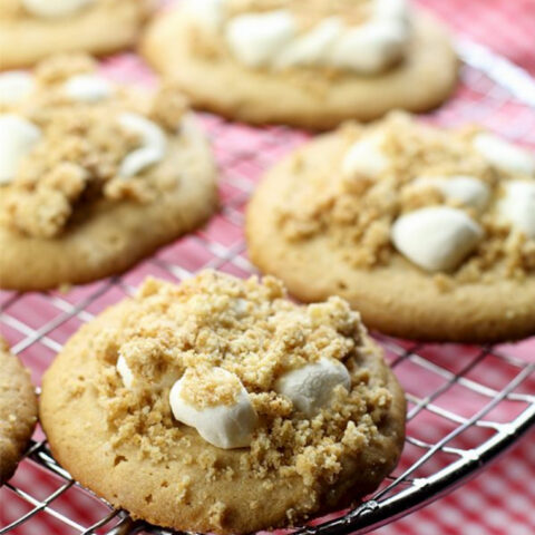 Peanut Butter Cookies with Marshmallow Peanut Crumb Topping