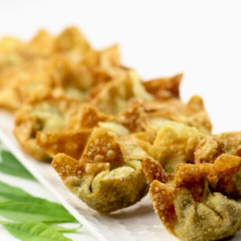 Indian-Inspired Vegetarian Wonton Appetizer Recipe