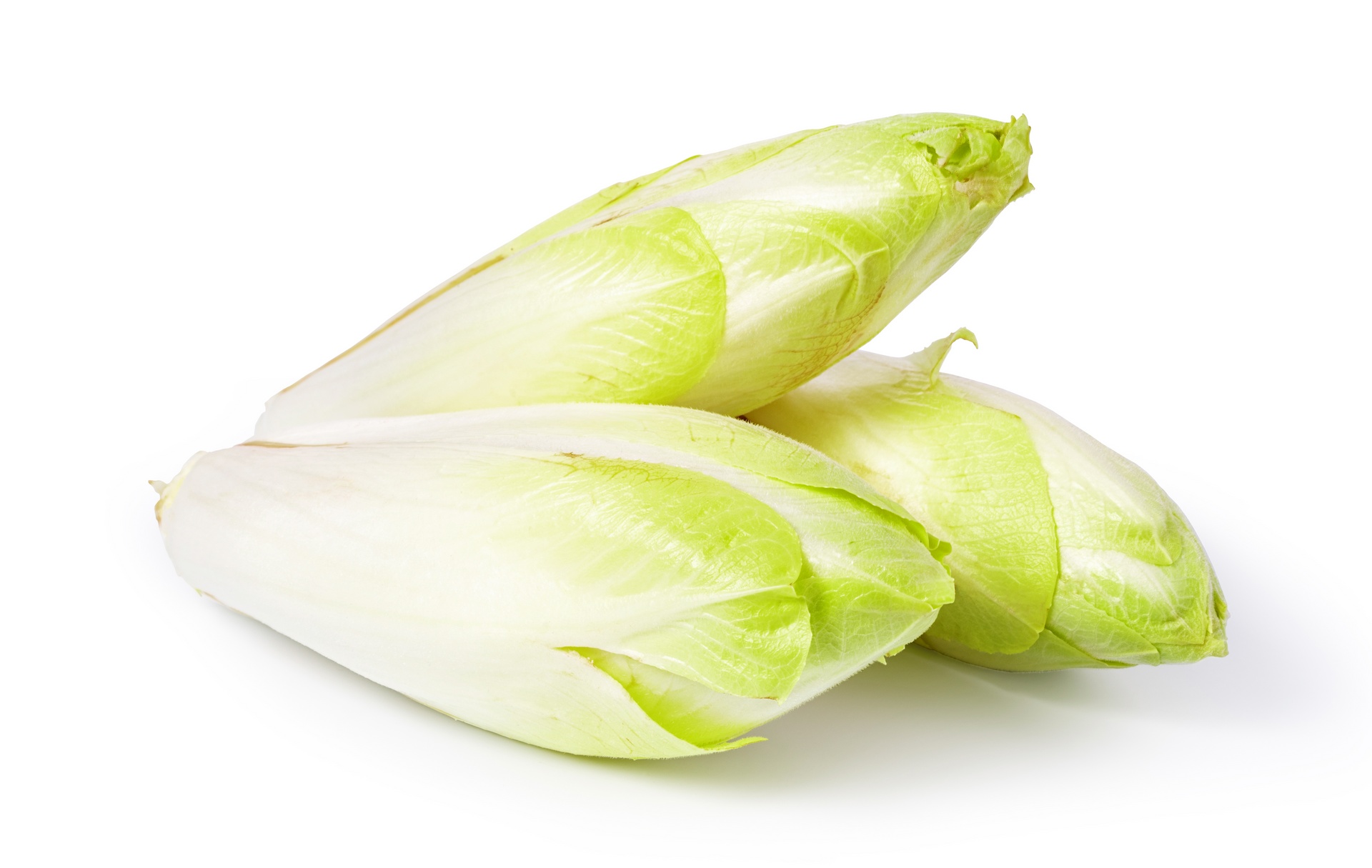 Endive