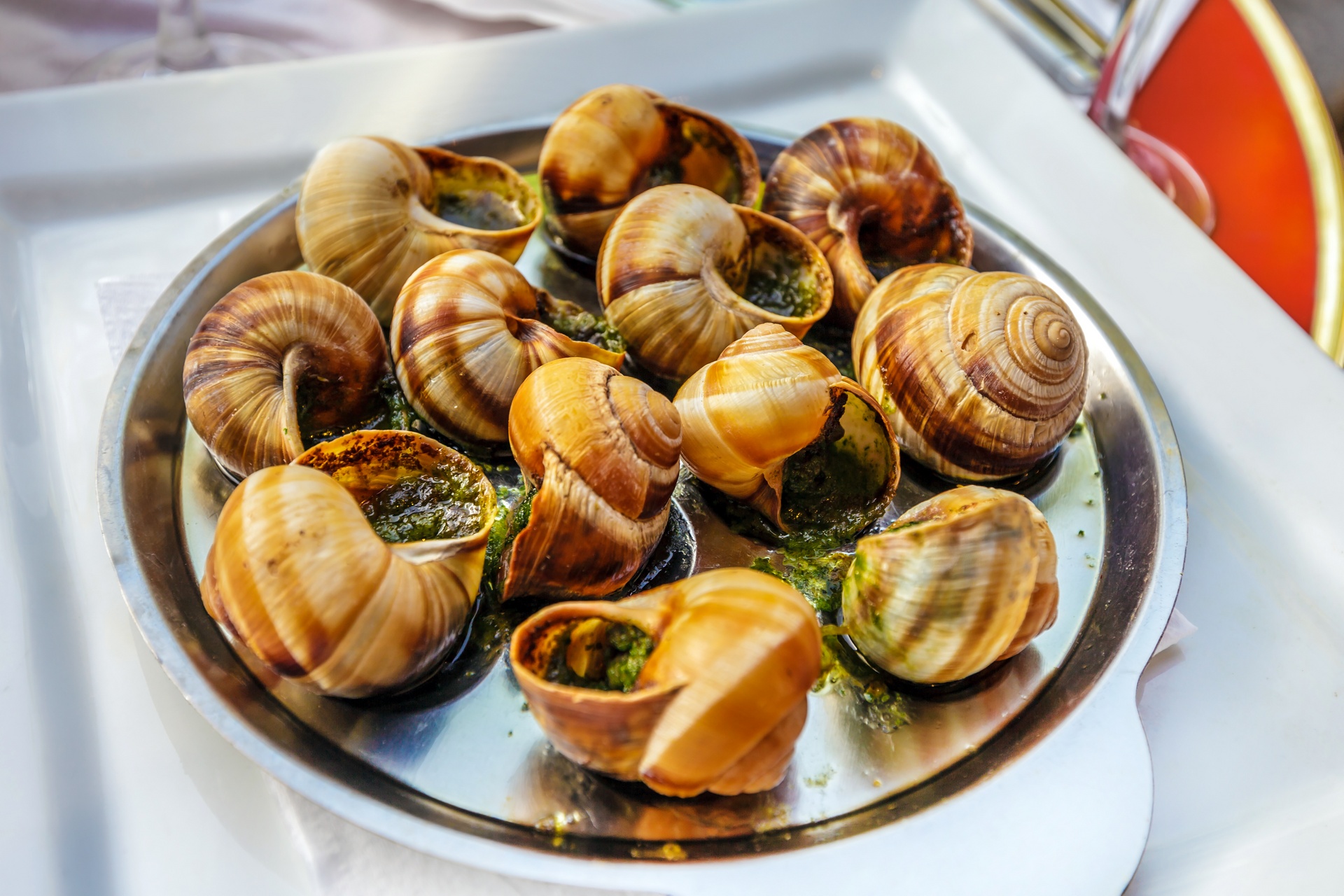 Escargot