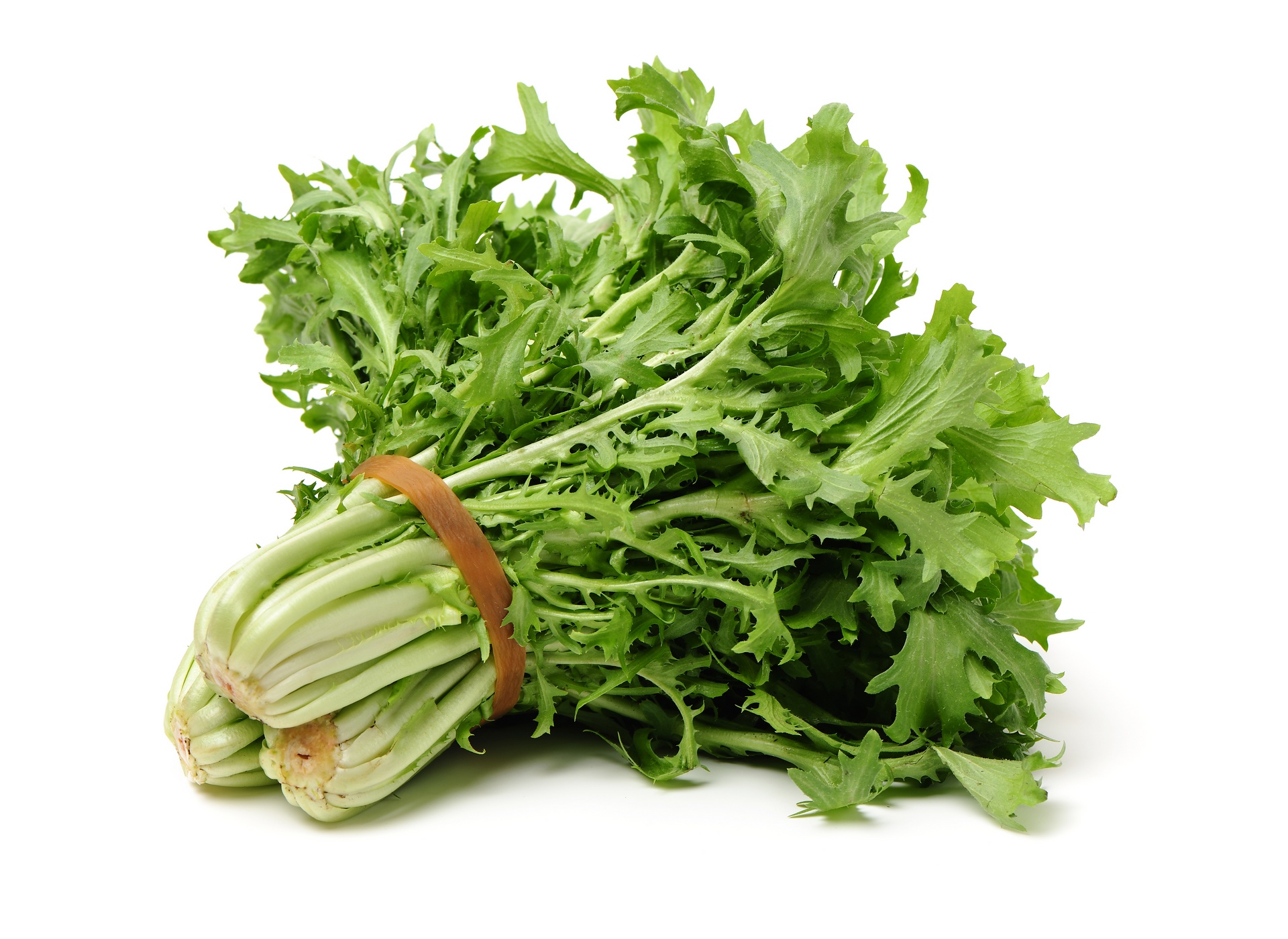 Escarole