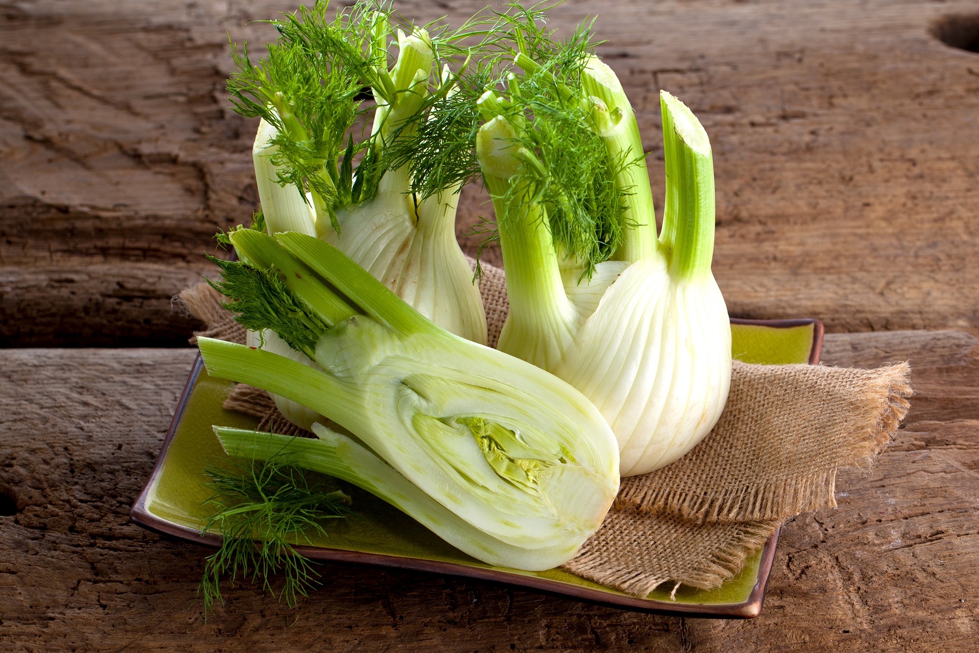 Fennel