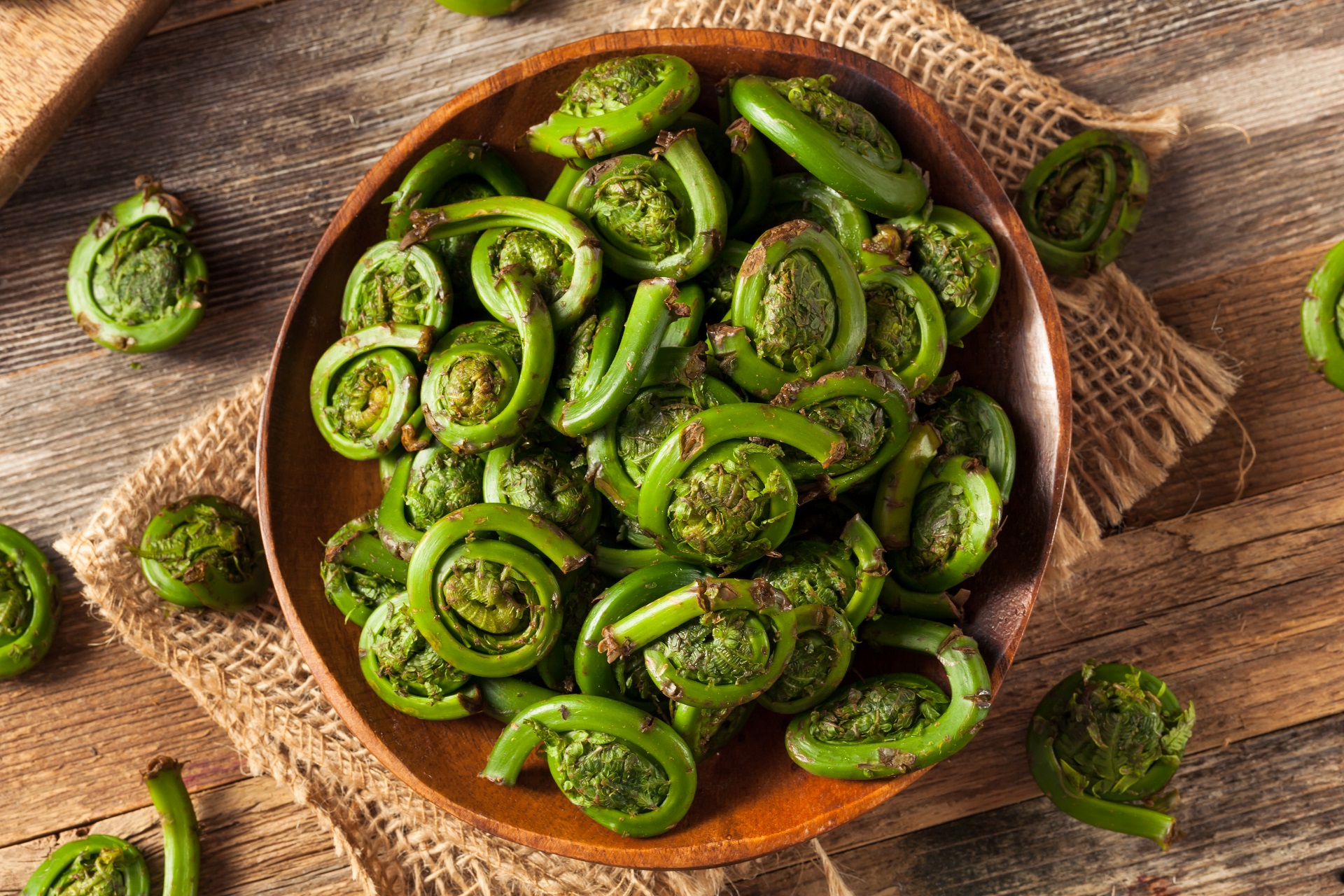 Fiddleheads