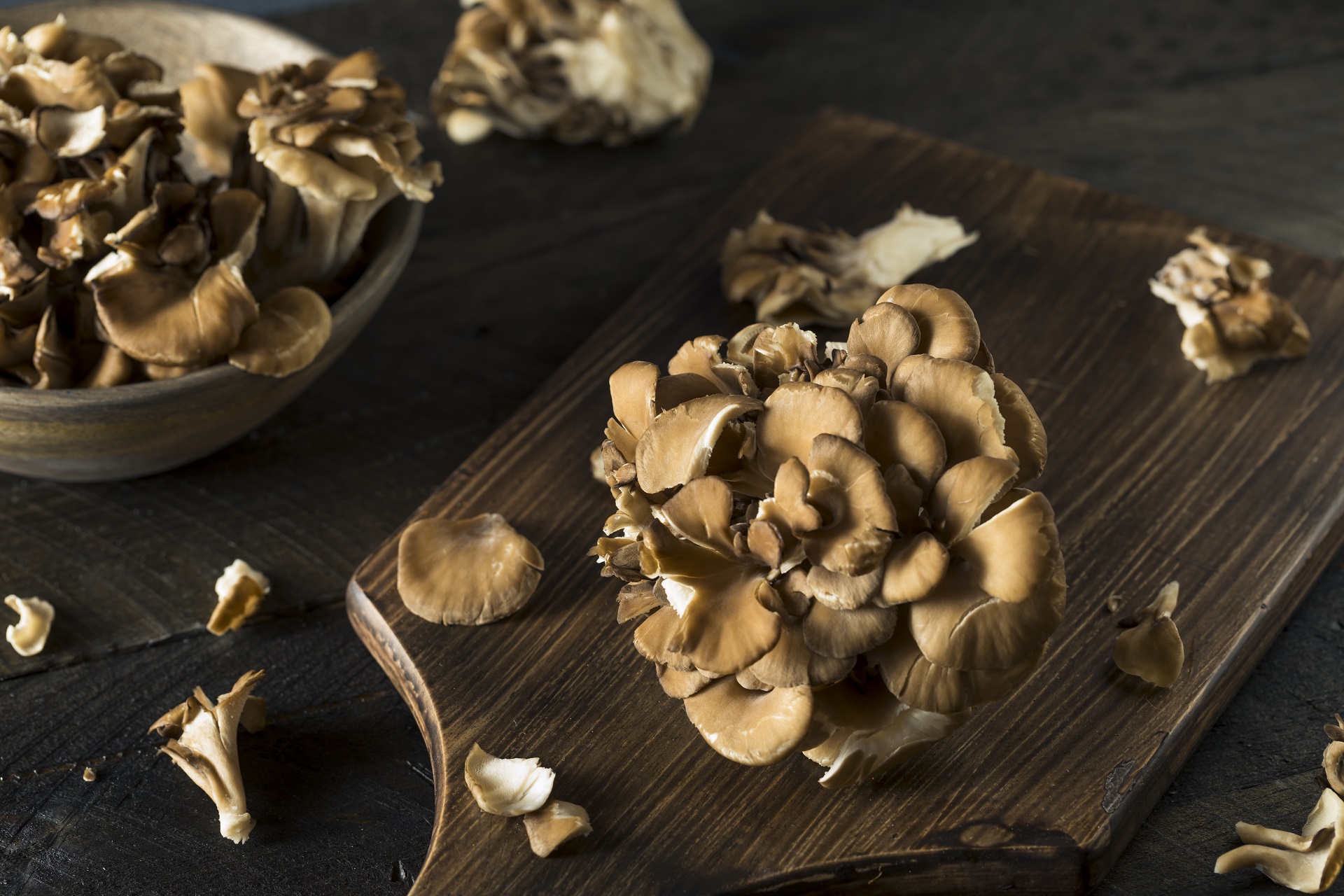 Maitake Mushrooms