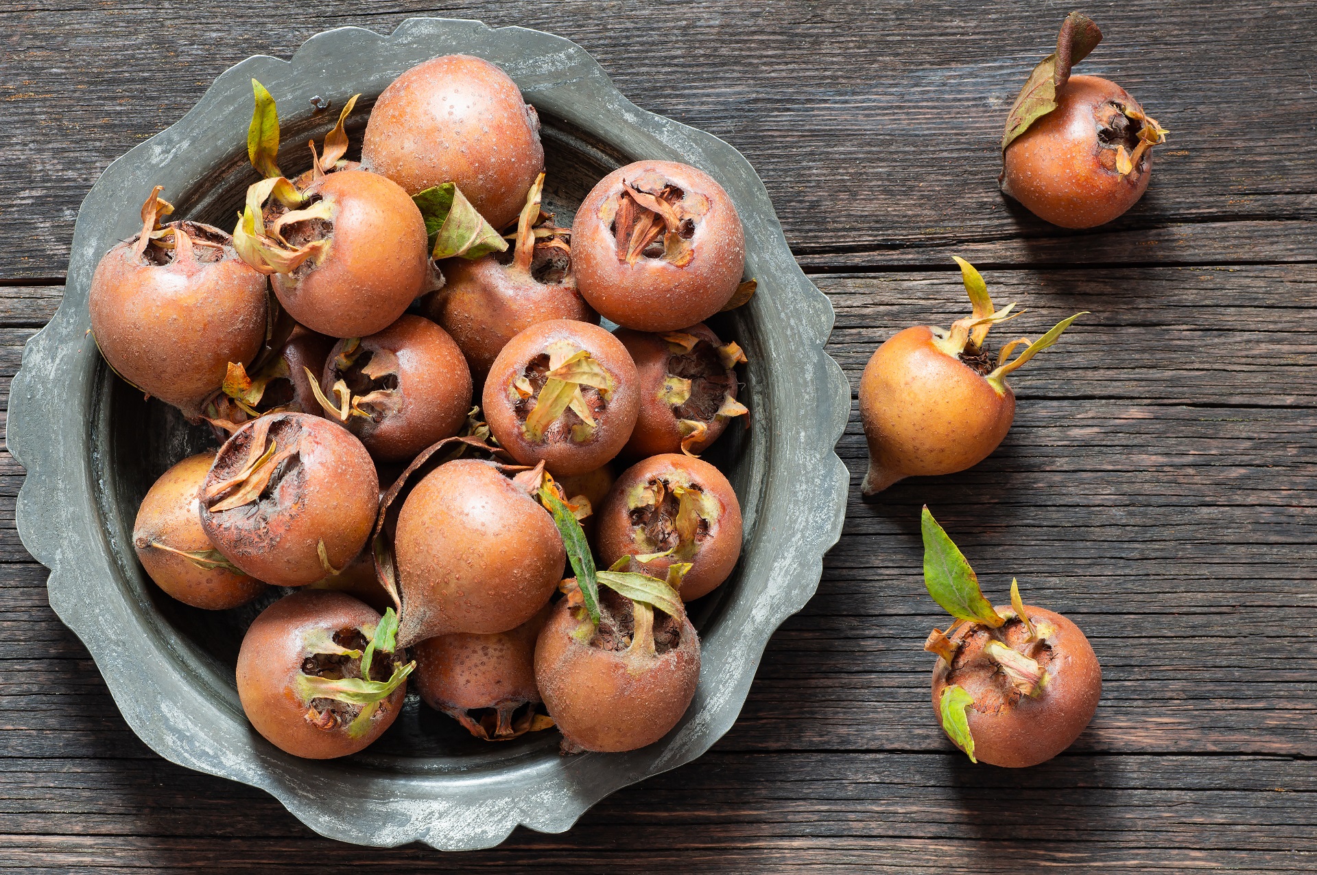 Medlars