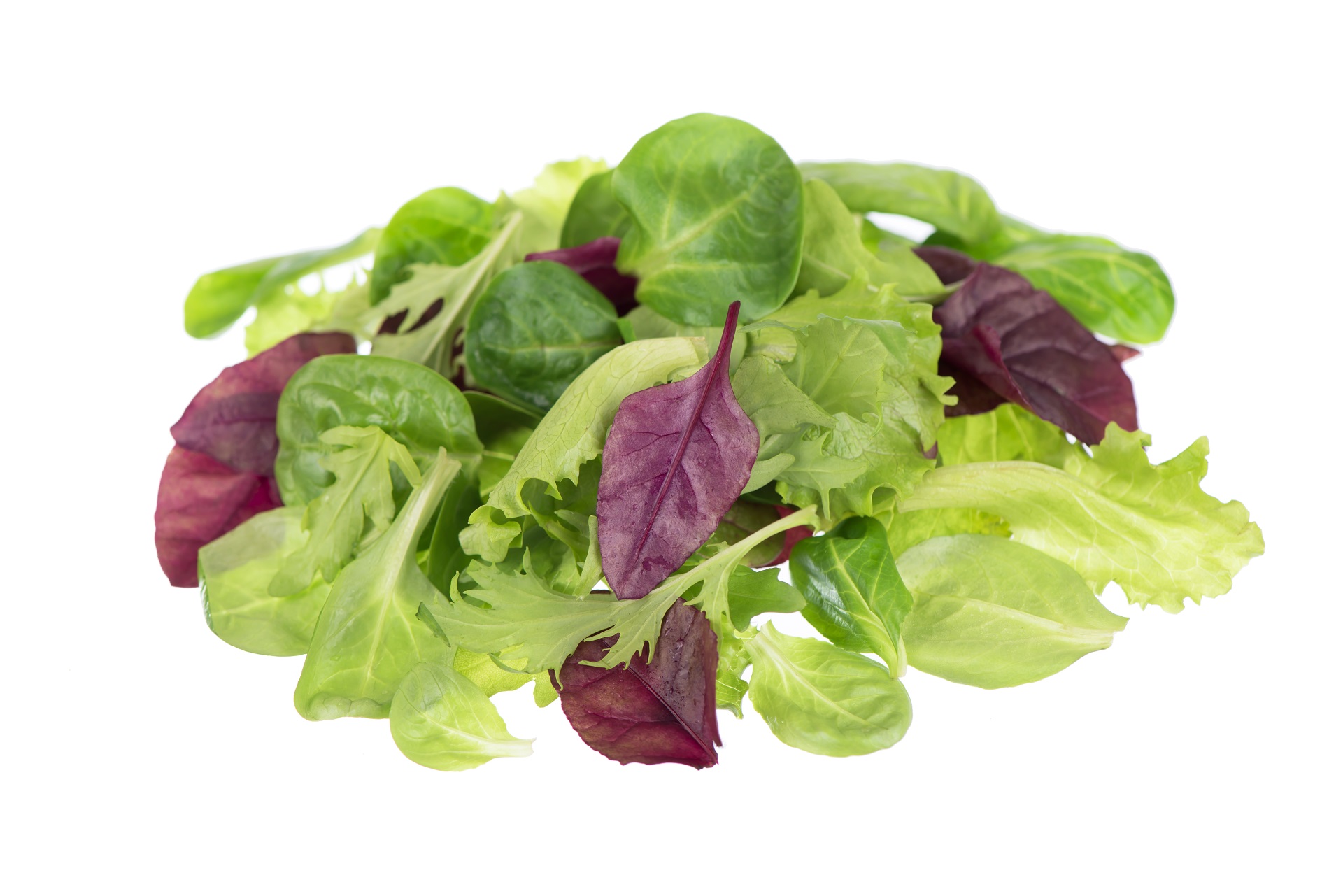 Mesclun