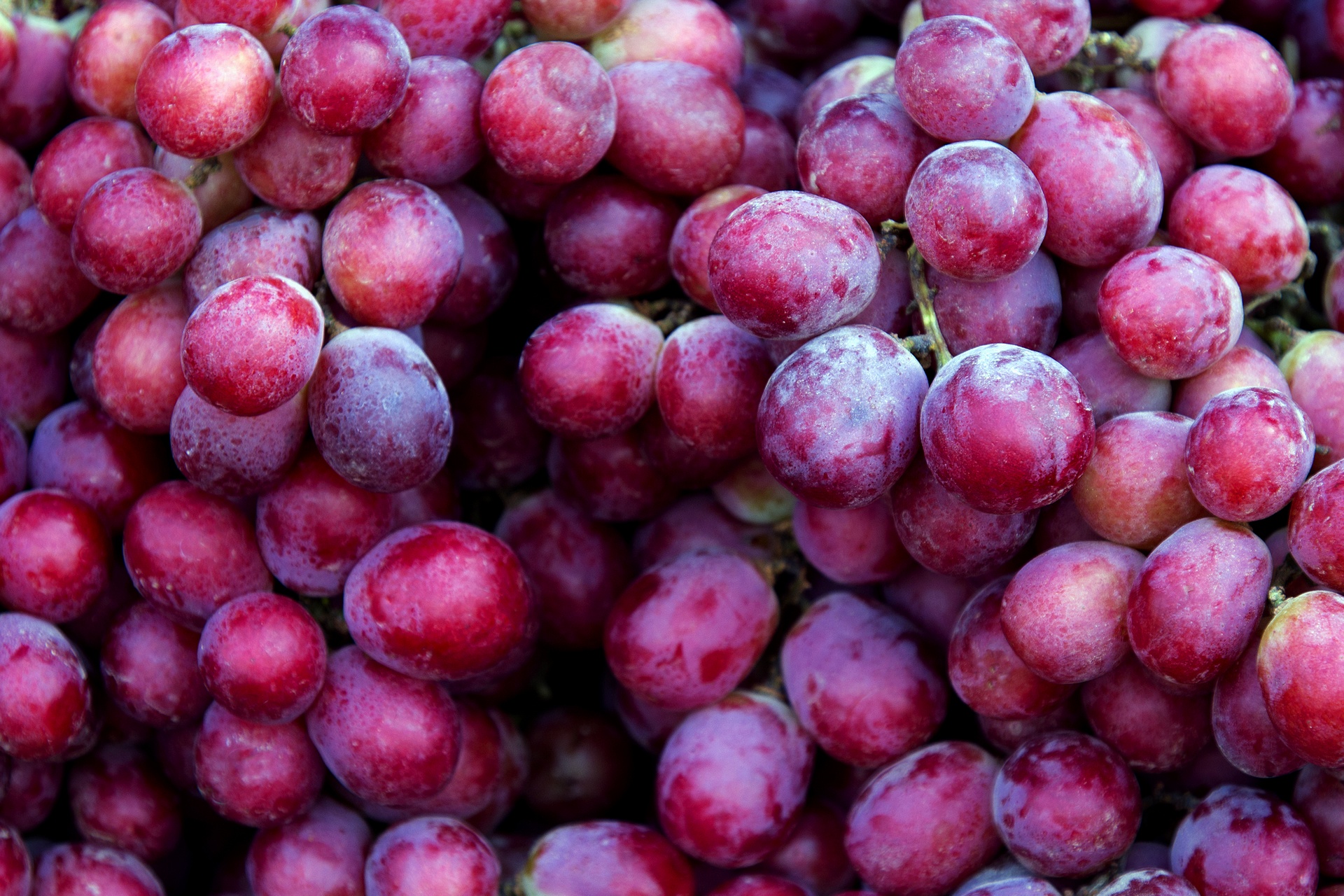 Red Emperor Grapes