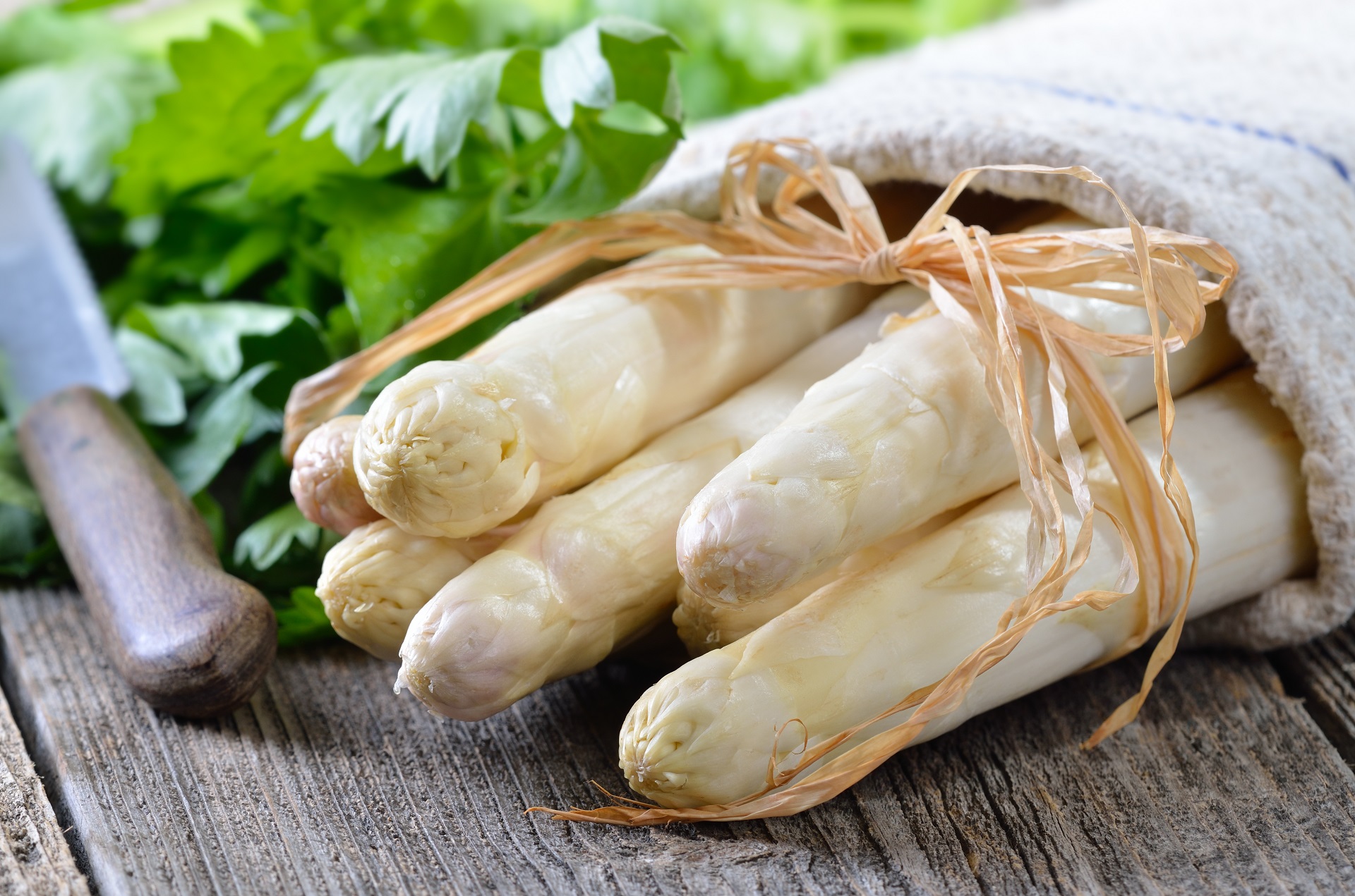 White Asparagus