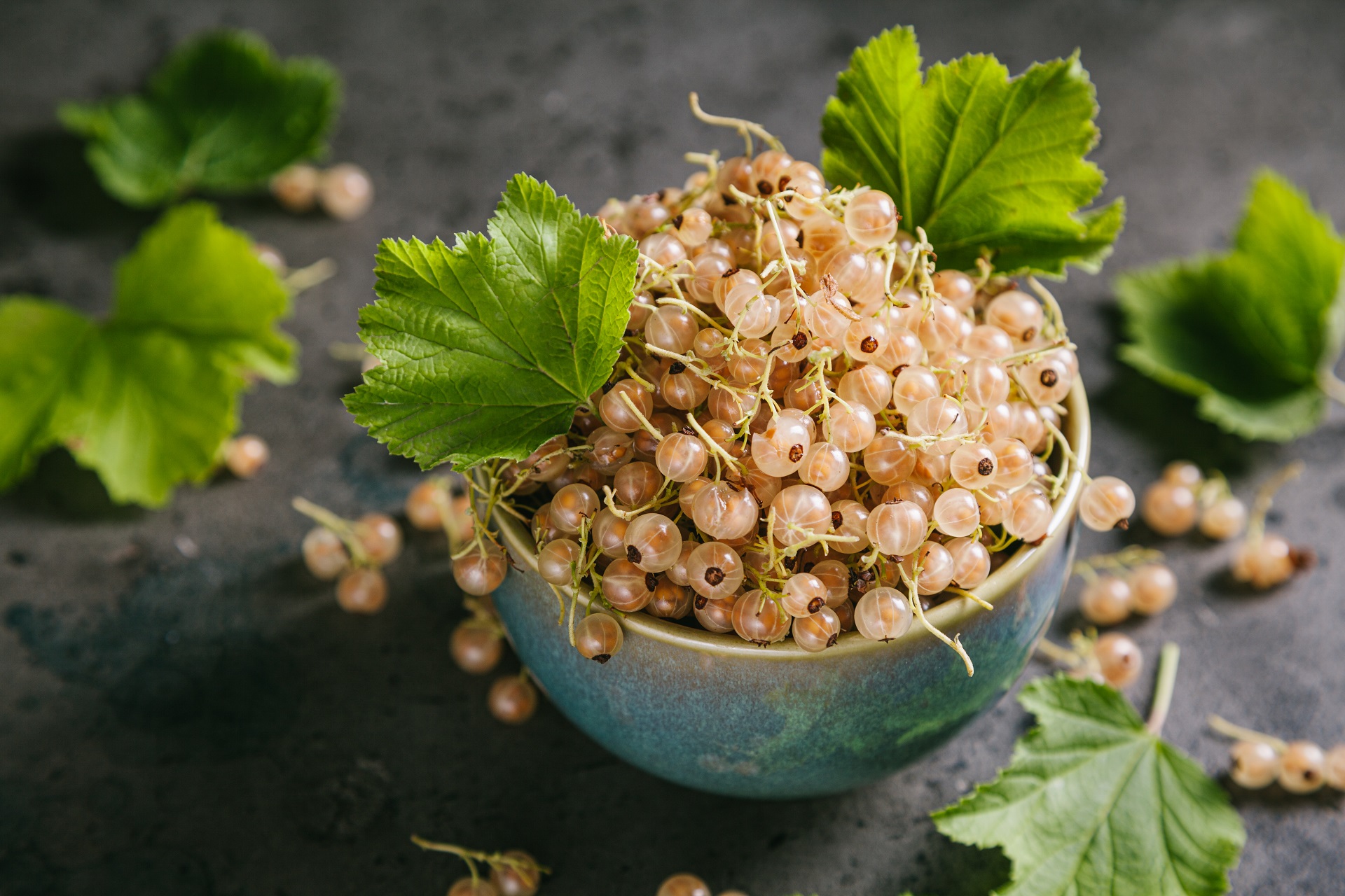 White Currants