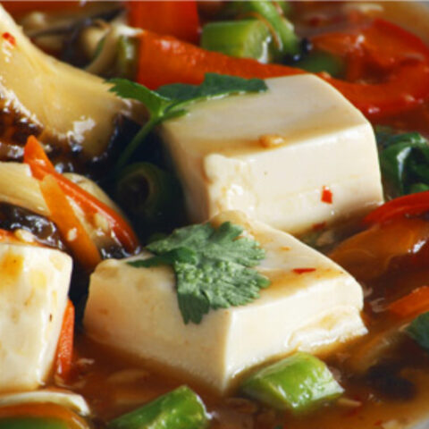 Vegetarian Ma-Po Tofu