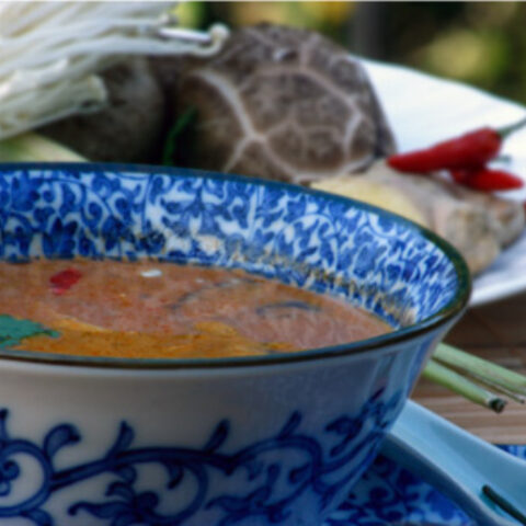 Vegetarian Tom Yum Thai Soup