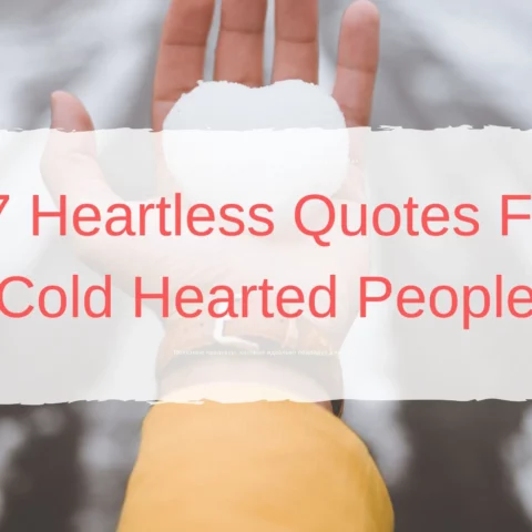 77 Heartless Quotes For Cold Hearted People