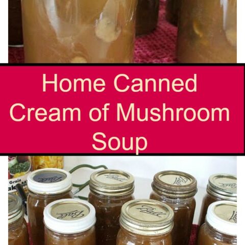 Make Your Own Cream Of Mushroom Soup