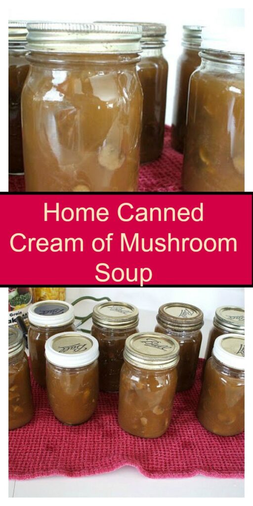 Make Your Own Cream Of Mushroom Soup