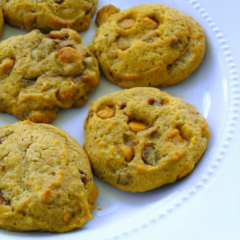 Pumpkin Cookies with Butterscotch Morsels