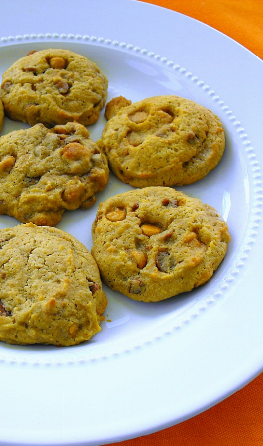 Pumpkin Cookies with Butterscotch Morsels