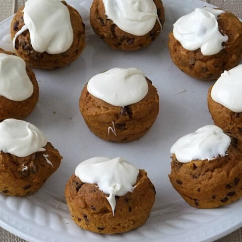 Pumpkin Chocolate Chip Muffins