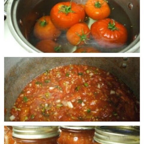 Home Canned Salsa