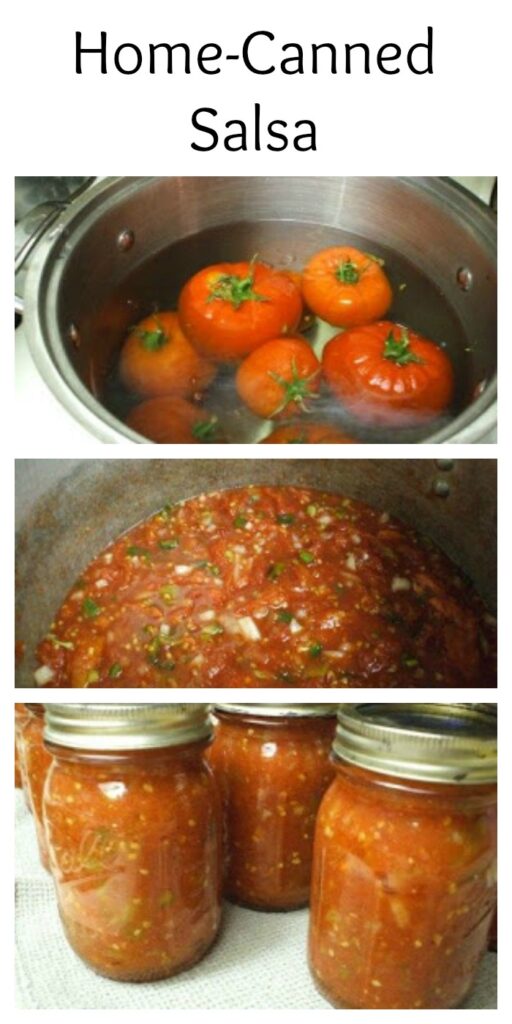 Home Canned Salsa