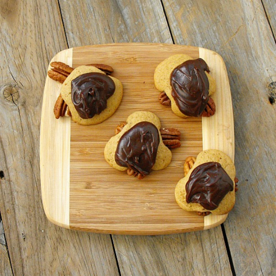 Snappy Turtle Cookies: Recipes From Long Ago