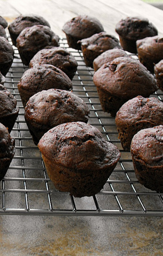 Copycat Costco Chocolate Chip Muffins (mini sized)