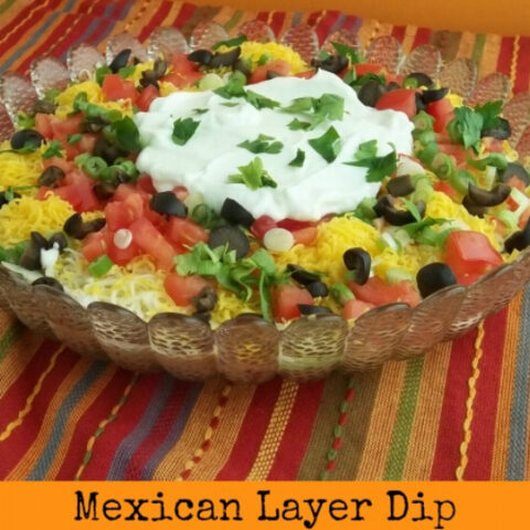 Mexican Layer Dip