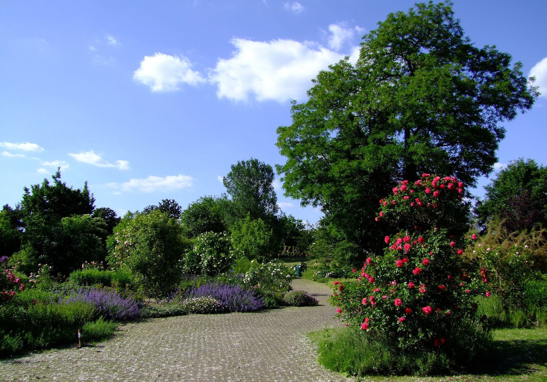 Botanical Gardens