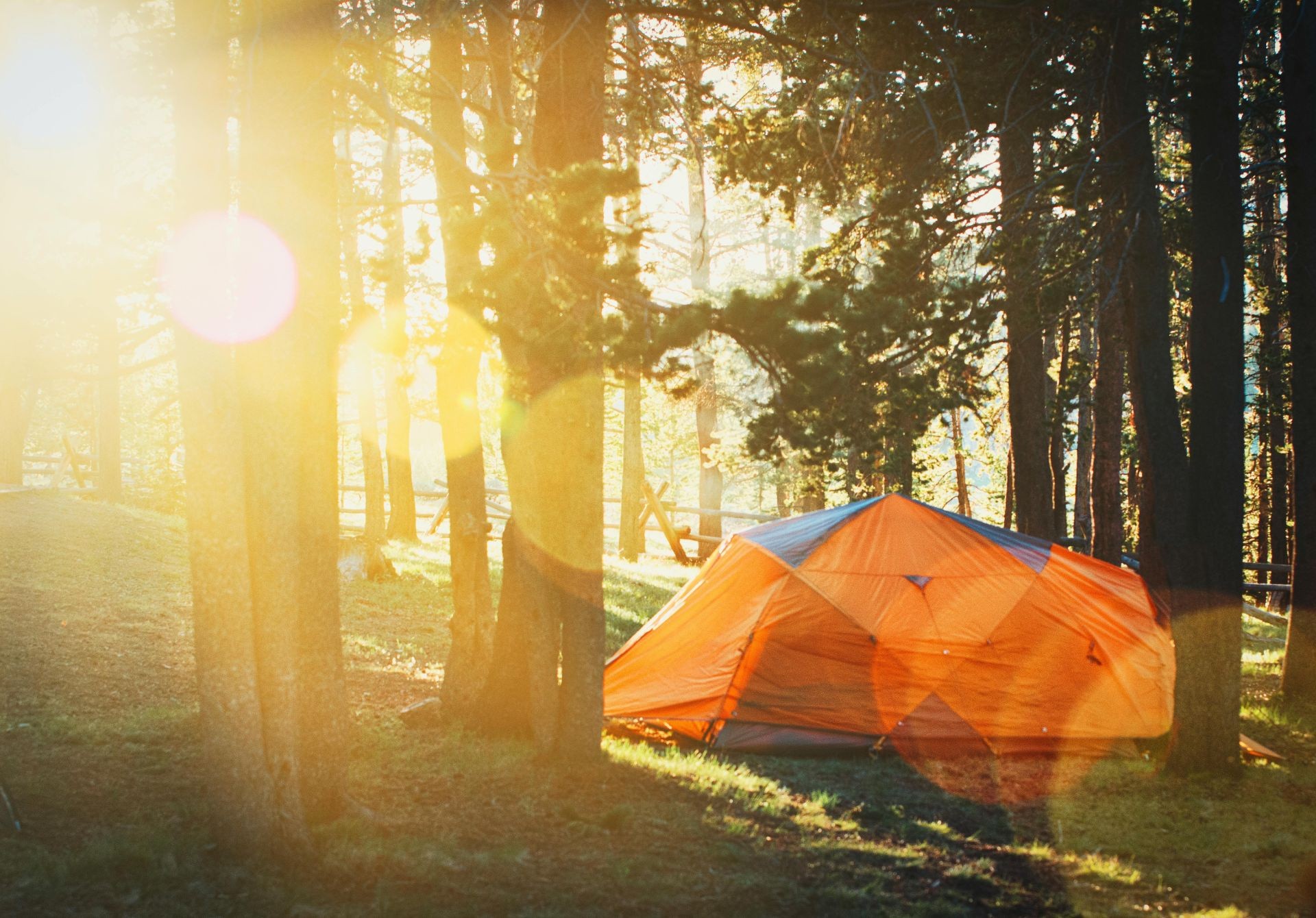 Camping in the Wilderness