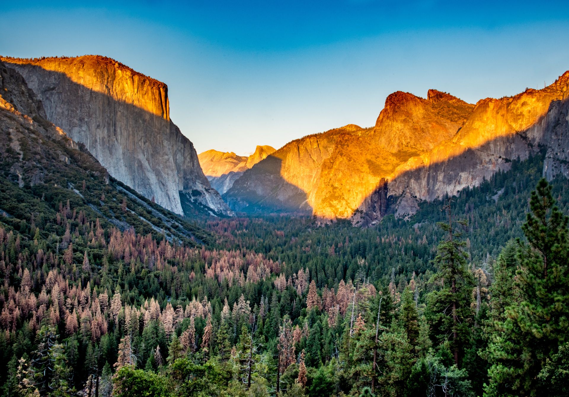 Visit Yosemite National Park