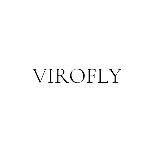 Virofly Private Jet Charters